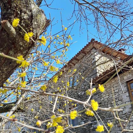 Bujtina Tusha Hotel Priska e Madhe ภายนอก รูปภาพ