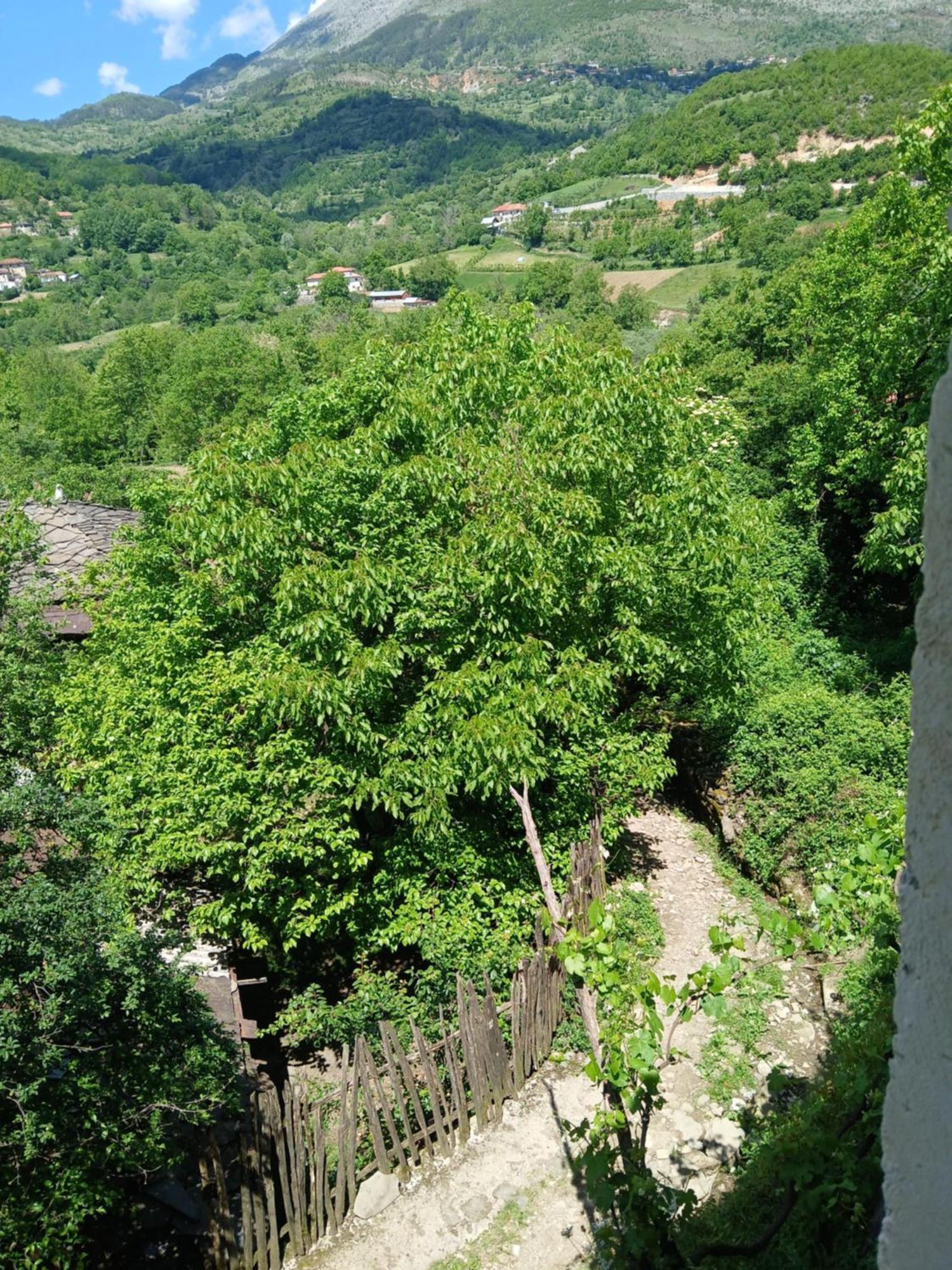 Bujtina Tusha Hotel Priska e Madhe ภายนอก รูปภาพ